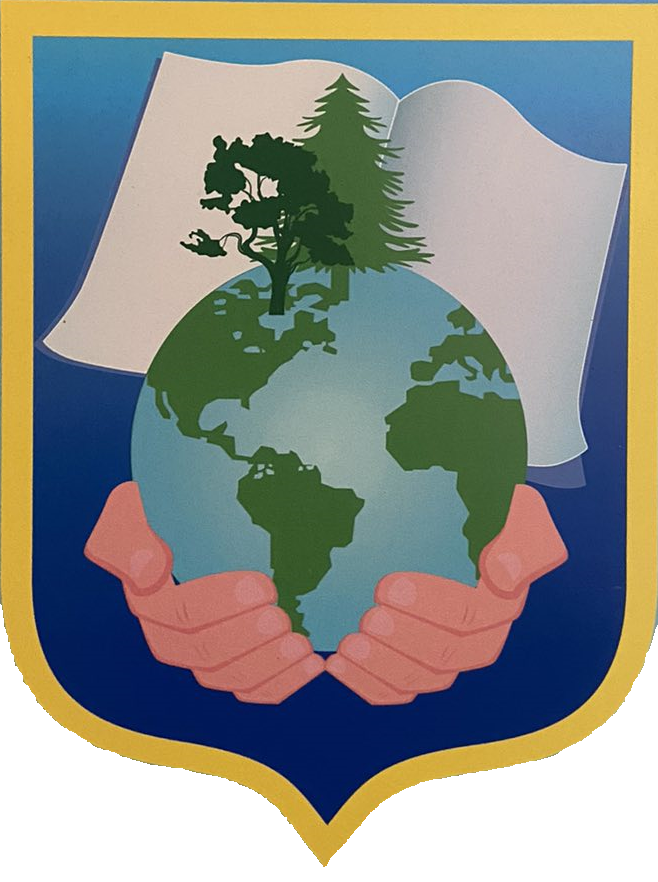 Пліщинська гімназія з дошкільним підрозділом Шепетівської міської ради Хмельницької області